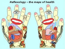 Body Reflexology Point syot layar 1