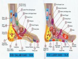 Body Reflexology Point syot layar 2