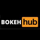 Bokeh Hub VPN-Clue aplikacja