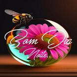 Bom dia, Boa noite e Boa tarde