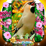 Bom DIA,Tarde, Boa Noite 2023