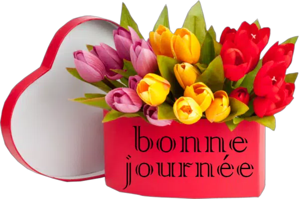 Bonjour Bonsoir Bonne Nuit Gif Messages For Android Apk Download Bonjour Bonsoir Bonne Nuit Gif Messages For Android Apk Download