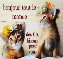 Bonne journée Bonjour Image avec Mots et Proverbes पोस्टर