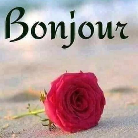Bonne Journee Bonjour Image Avec Mots Et Proverbes Pour Android Telechargez L Apk