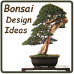 Bonsai Design Ideas