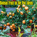 Bonsai Fruit in the Pot APK