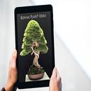 Idea Loji Bonsai APK