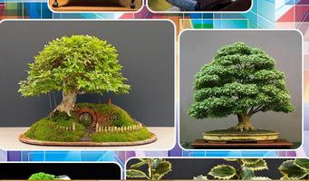 Bonsai Tree Idea screenshot 2
