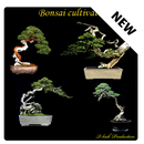 Bonsai cultivation APK