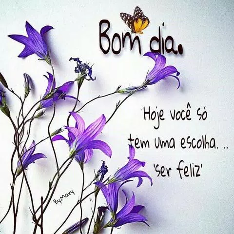 Bom dia, boa noite APK pour Android Télécharger Bom dia, boa noite APK pour Android Télécharger