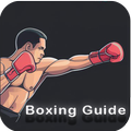 Learn Boxing