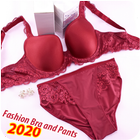 آیکون‌ Bra and Panties Fashion