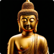 Buddha HD Wallpapers icon