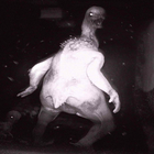 Scp 3199 Game ícone