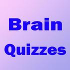 Brain_Quizzes 图标