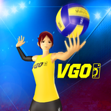 Volleyball: VolleyGo Zeichen