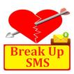 Break Up SMS Text Message