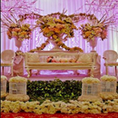 Bridal wedding decoration design APK