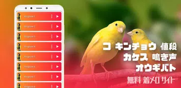 美しい鳥の音-鳥の着メロ