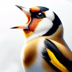 Bird Sounds, Calls & Ringtones XAPK 下載