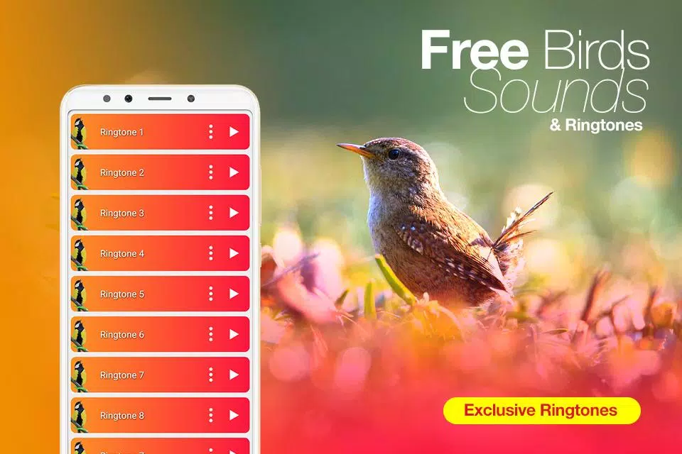 Sonneries et chants Oiseaux APK pour Android Télécharger