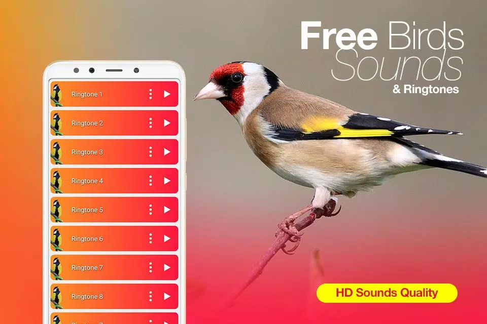 Sonneries et chants Oiseaux APK pour Android Télécharger