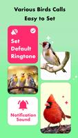 Bird Sounds, Calls & Ringtones скриншот 1