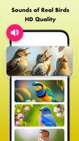 Bird Sounds, Calls & Ringtones screenshot 2