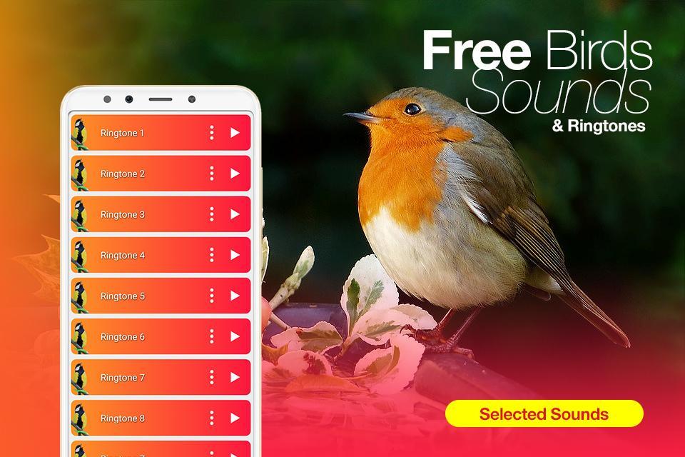 Рингтон bird. Better Bird программа. Bird Sound. Bird Sounds and Ringtones. Spectre of Sounds Birds.