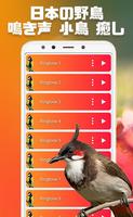 美しい鳥の音-鳥の着メロ スクリーンショット 3