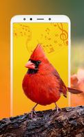 Canções e toques de pássaros imagem de tela 2
