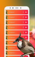 Canções e toques de pássaros imagem de tela 3