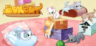 BoxCat: miau, salto, bonito