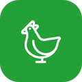 FarmPet