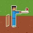 Pixel Cricket icon