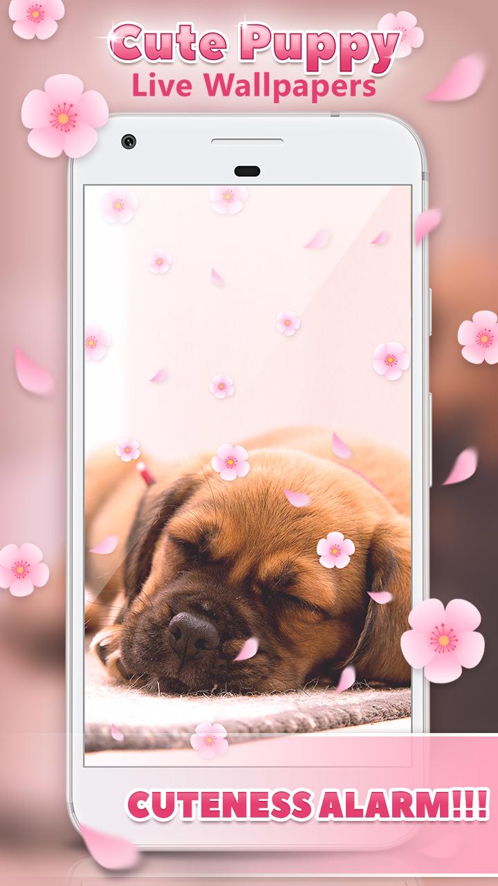 Android 用の 壁紙無料 子犬 Apk をダウンロード