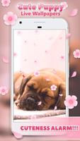 Cute Puppy Live Wallpapers poster
