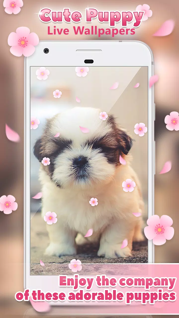 Android 用の 壁紙無料 子犬 Apk をダウンロード