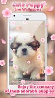 برنامه‌نما Cute Puppy Live Wallpapers عکس از صفحه