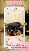 برنامه‌نما Cute Puppy Live Wallpapers عکس از صفحه