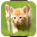 Cute Animal Wallpaper APK