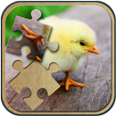 động vật jigsaw puzzle APK
