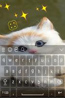 Cute Cat Keyboard Plakat