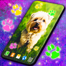 Cute Puppy Live Wallpaper APK