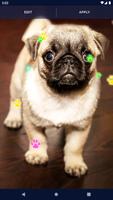 Cute Puppy Live Wallpaper screenshot 3