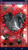 Cute Puppy Live Wallpaper screenshot 2