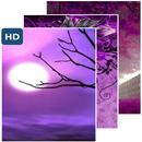 Papier peint violet mauve APK