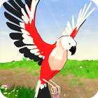 Parrot Simulator 图标