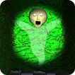Scary Granny Maze : Horror Gam