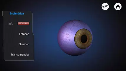 Descargar APK de Ophthalmology in Dogs (Free)